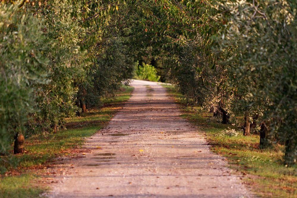 Agriturismo Casagrande Montepulciano Stazione Kültér fotó